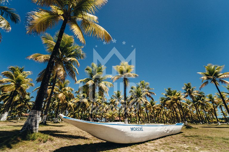 Fazenda Exclusiva, Com Doze Suítes, Praia Privativa e Próxim