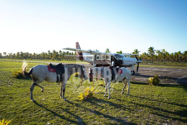Fazenda Exclusiva, Com Doze Suítes, Praia Privativa e Próxim