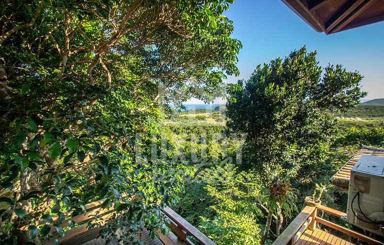 Contato com a Natureza, Vista para o Oceano e Seis Quartos P