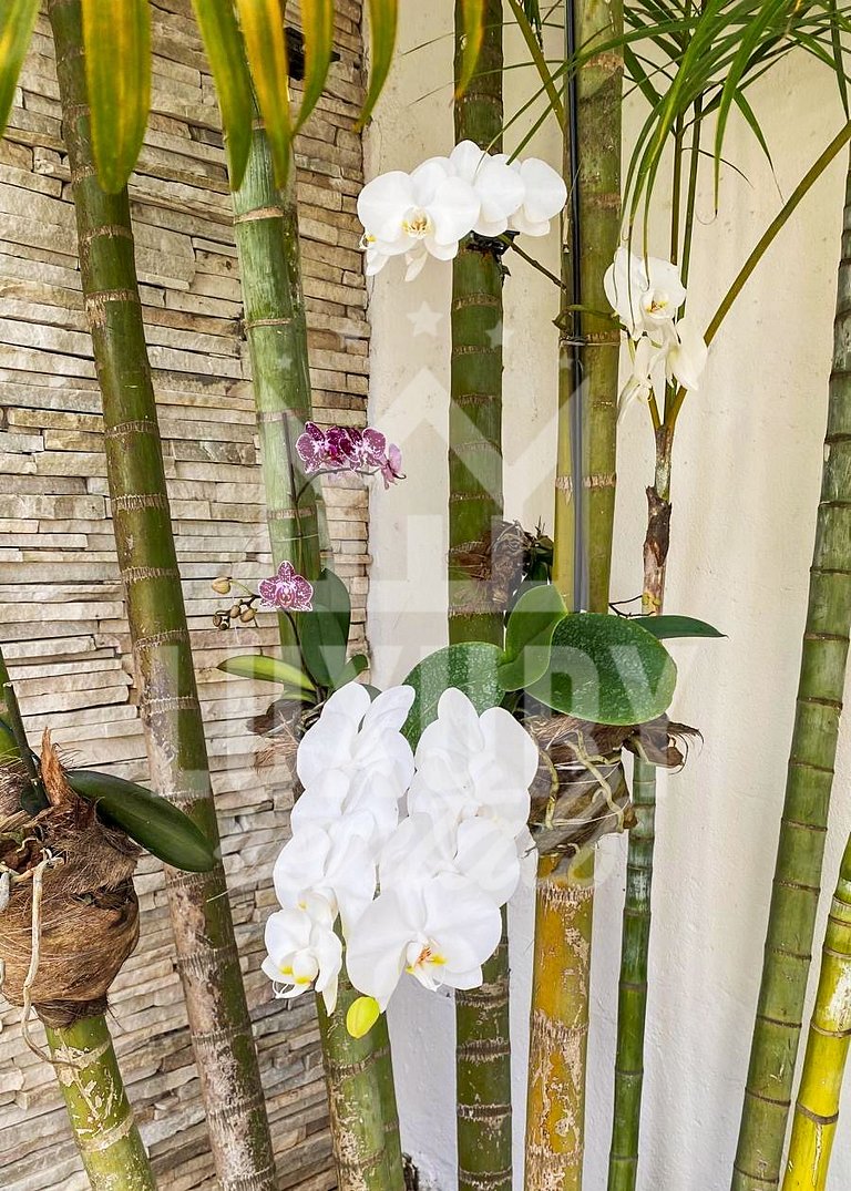Mansão Resort em Geribá com Cinco Suítes